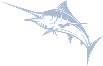 a blue marlin fish on a white background